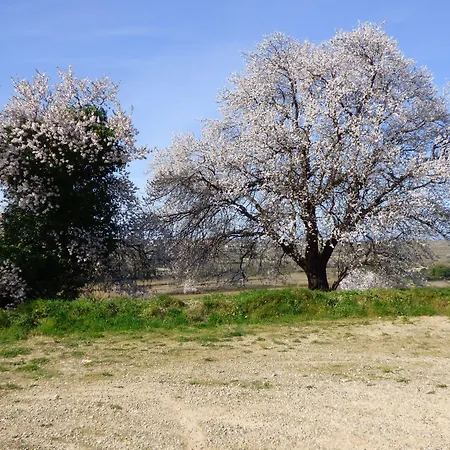 住宿加早餐酒店 Les Amandiers