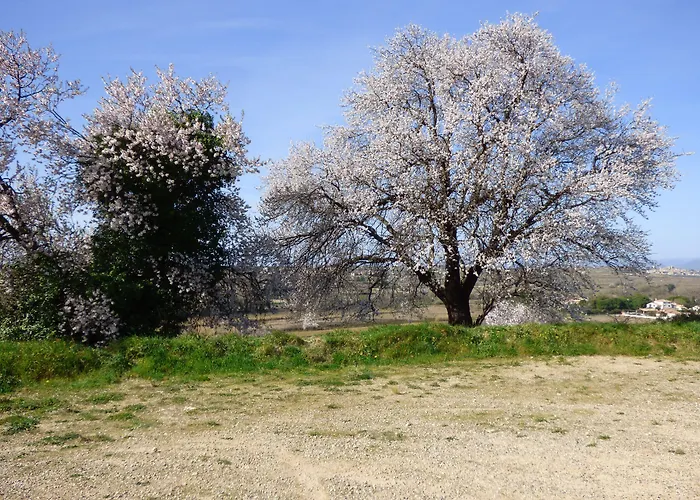 住宿加早餐酒店 Les Amandiers